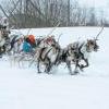 День рыбака и охотника 2019